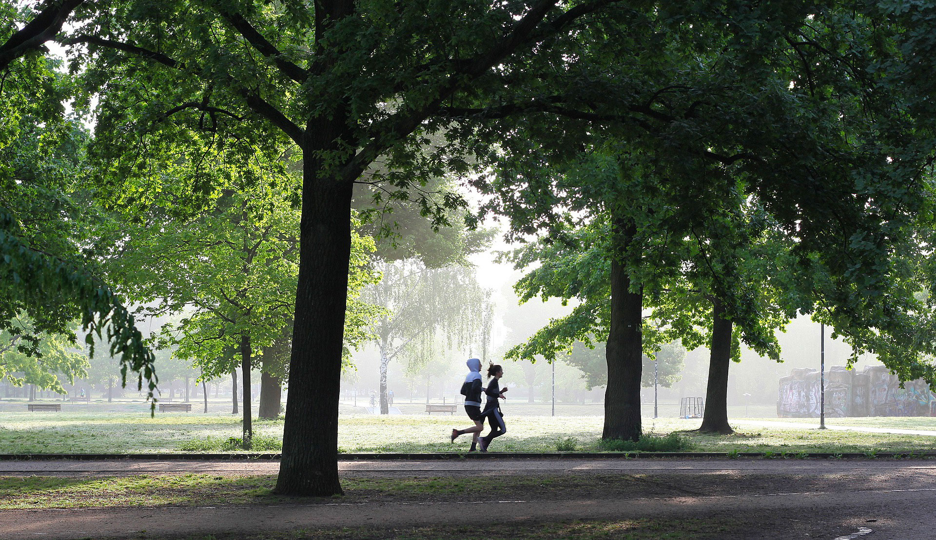 plan entrainement 10km marathon course a pied