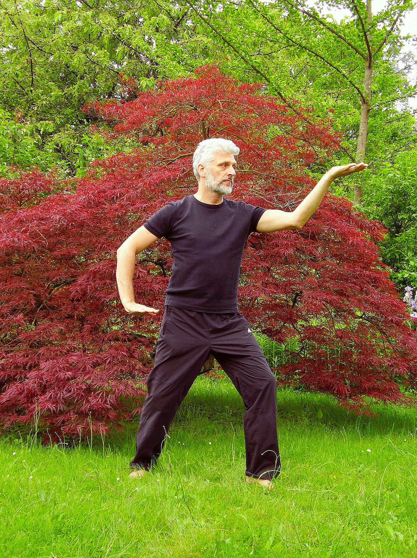 tai-chi contre arthrose