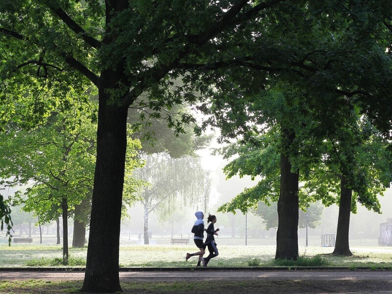 plan entraînement 10 km EN 1H_macompet